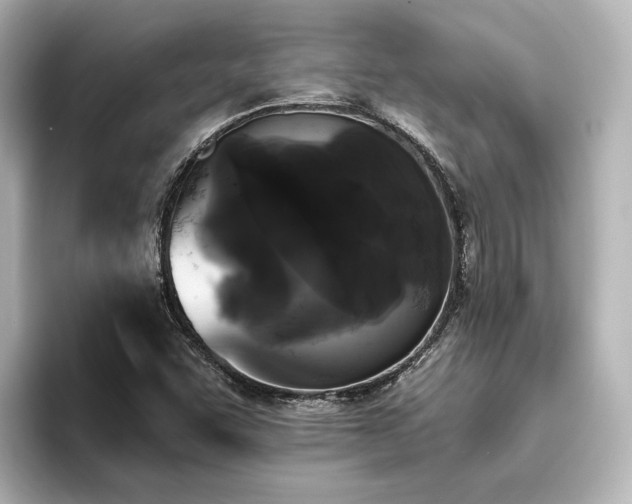 X0000096451455200801241409