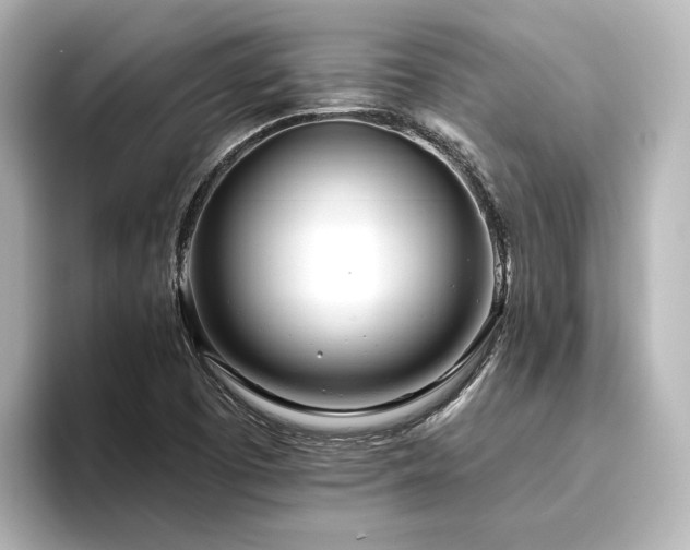 X0000096451457200801241409