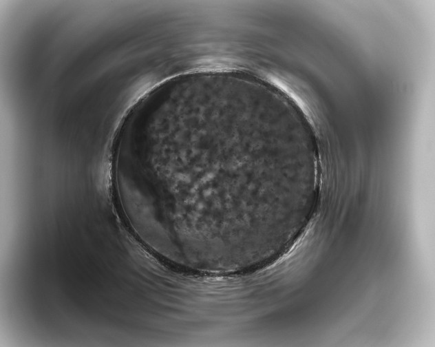 X0000096451459200801241409