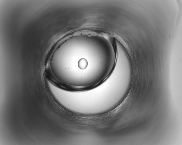 X0000096451461200801241409
