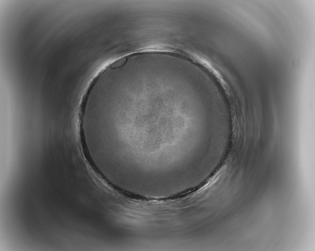 X0000096451463200801241409