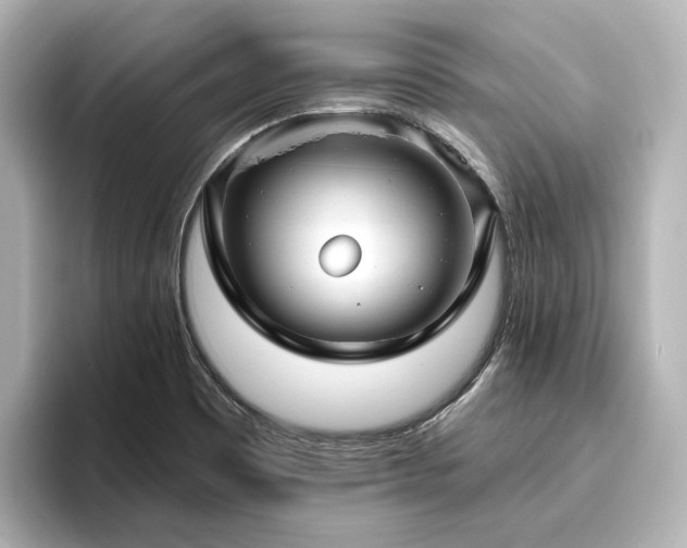 X0000096451465200801241409