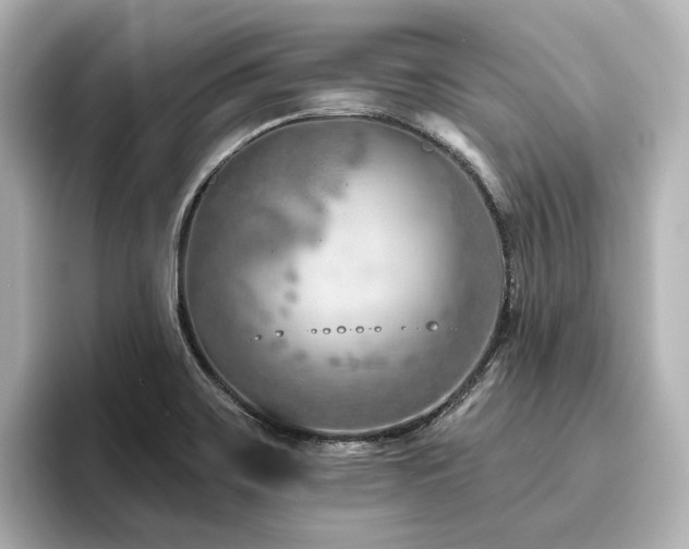 X0000096451467200801241409