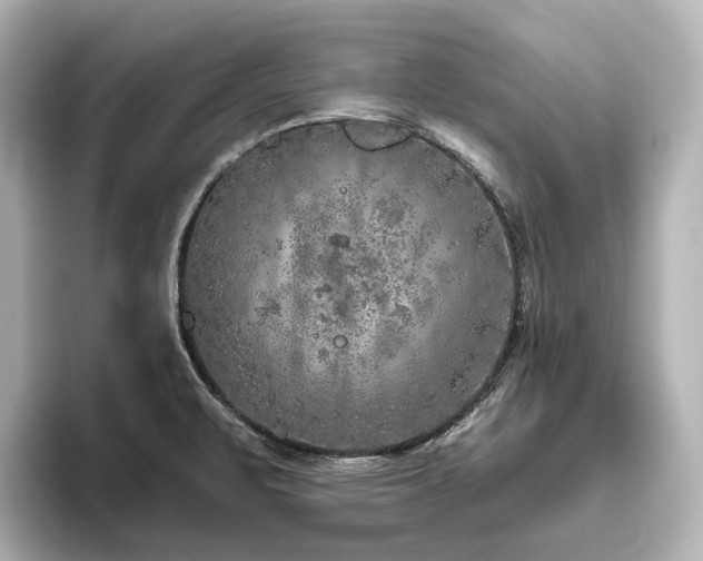 X0000096451471200801241409