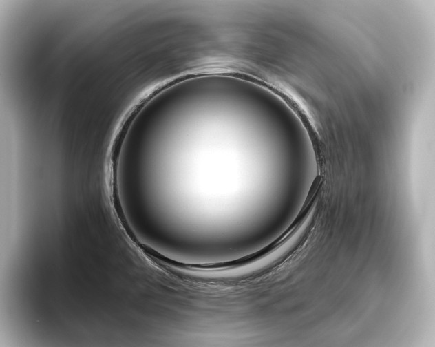 X0000096451472200801241409