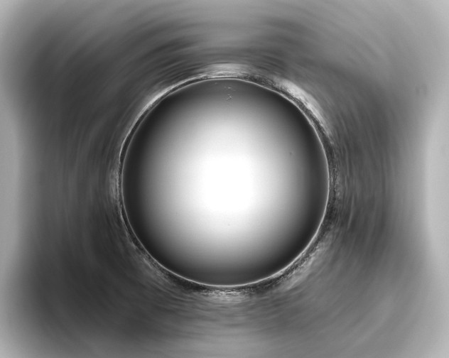 X0000096451473200801241409