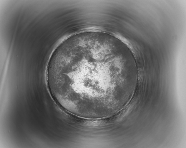 X0000096451474200801241409