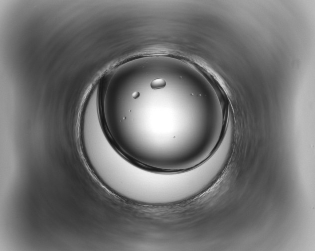 X0000096451477200801241409