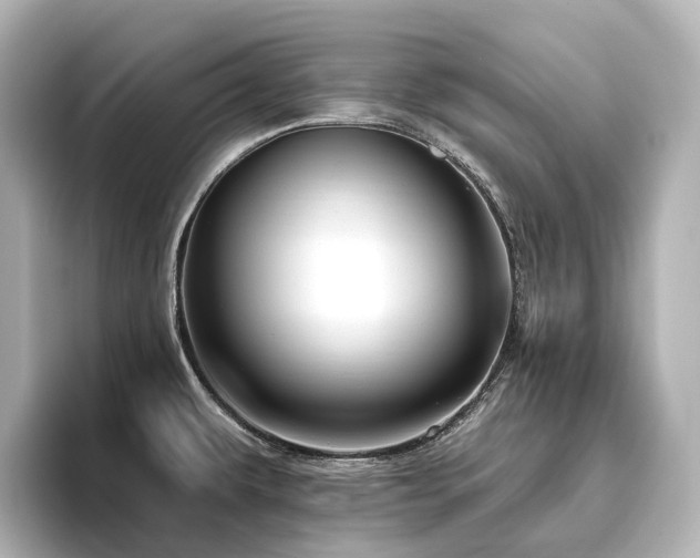 X0000096451479200801241409
