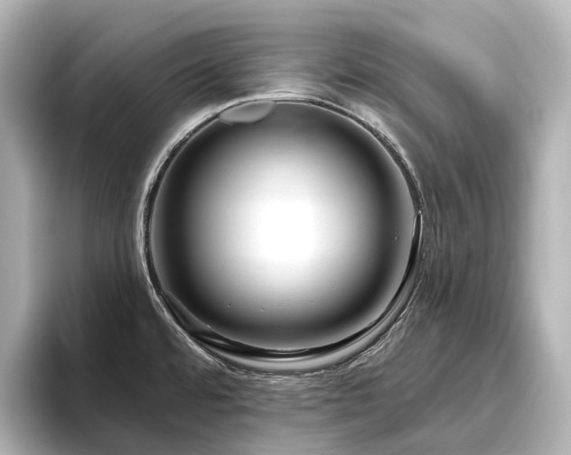 X0000096451480200801241409