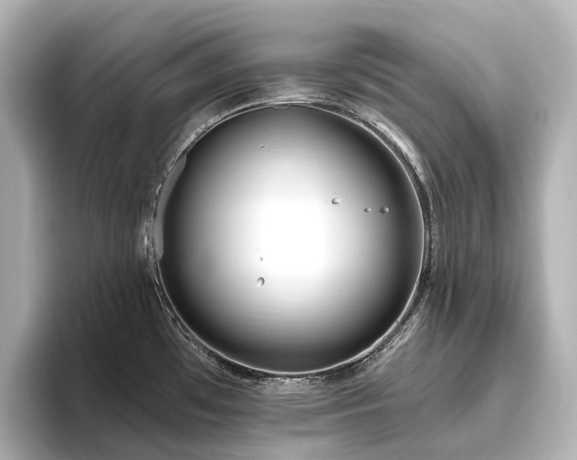 X0000096451481200801241409