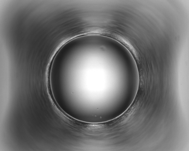 X0000096451483200801241408