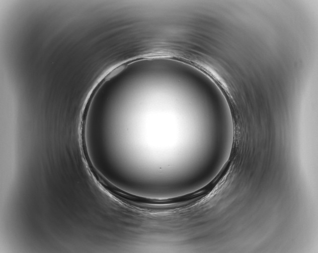 X0000096451484200801241408