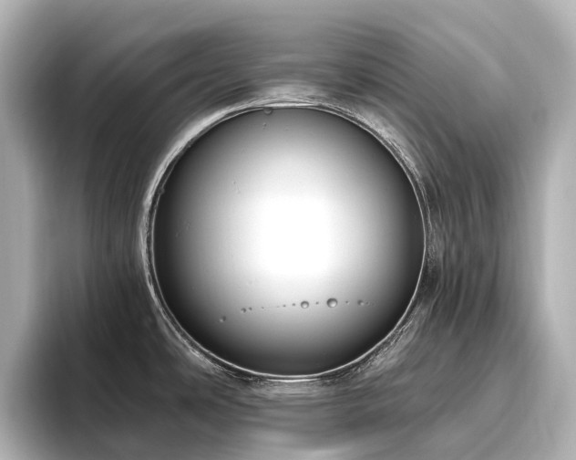 X0000096451486200801241408