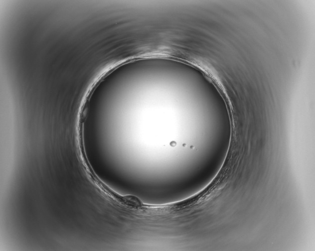 X0000096451488200801241408