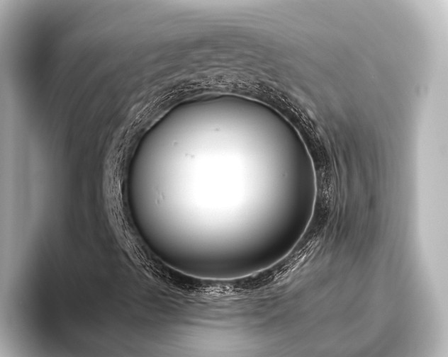 X0000096451489200801241408