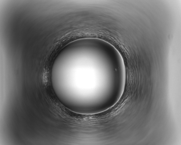 X0000096451490200801241408
