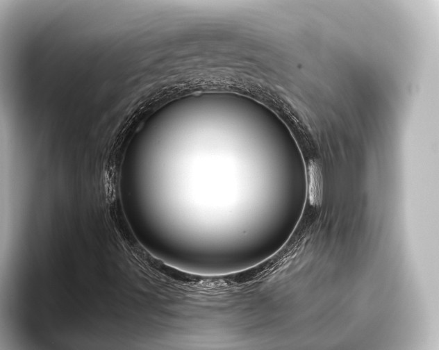 X0000096451491200801241408