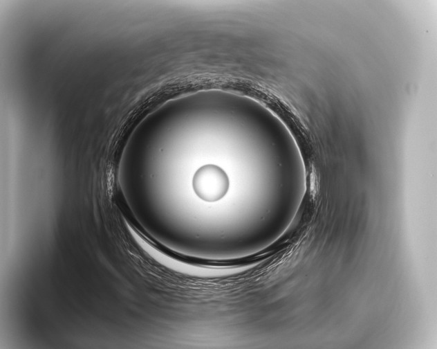 X0000096451492200801241408