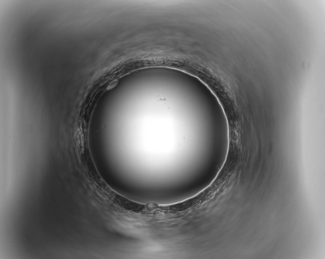 X0000096451493200801241408