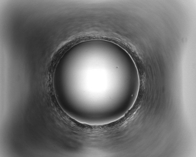 X0000096451494200801241408