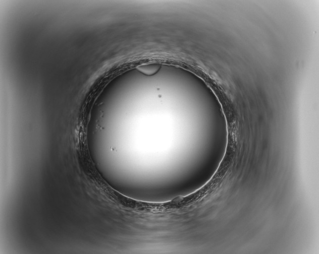 X0000096451495200801241408