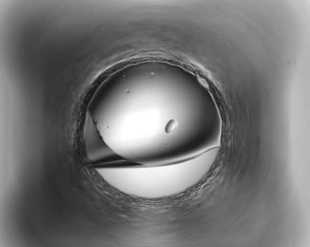 X0000096451496200801241408