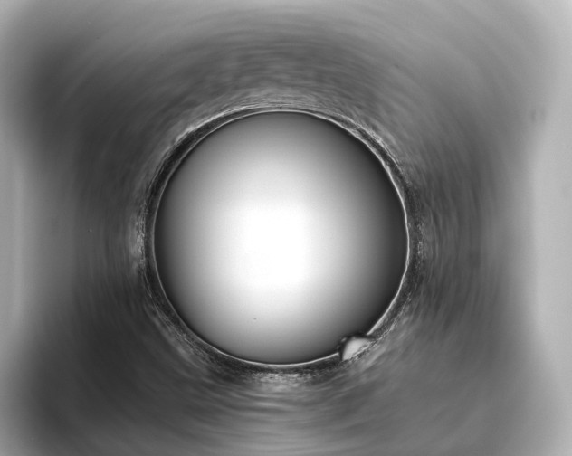 X0000096451499200801241408