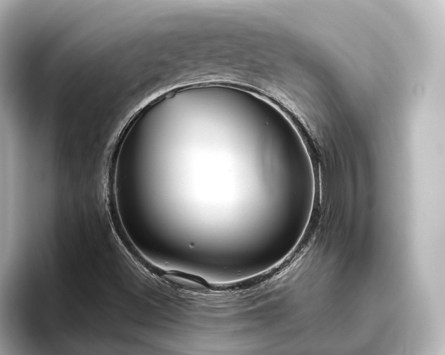 X0000096451500200801241408
