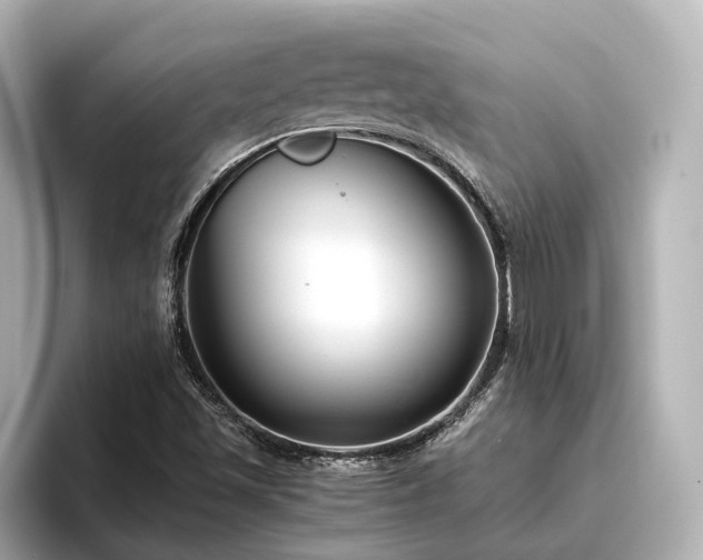 X0000096451501200801241408