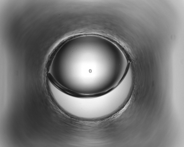 X0000096451502200801241408