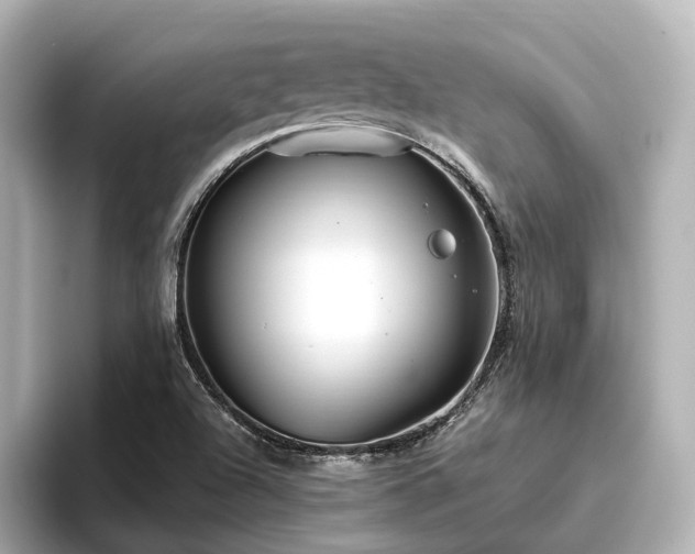 X0000096451504200801241408