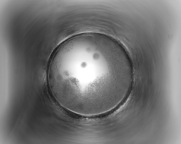 X0000096451505200801241408