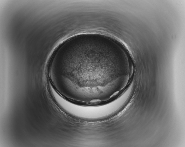 X0000096451506200801241408
