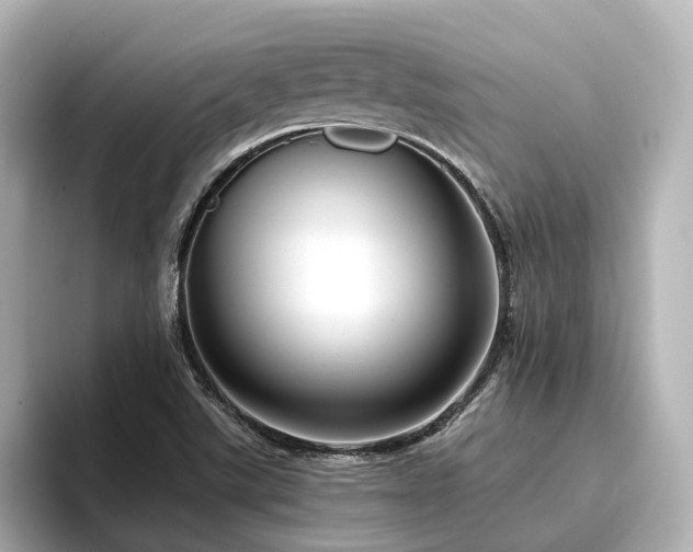 X0000096451507200801241408