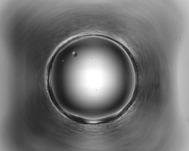 X0000096451508200801241408