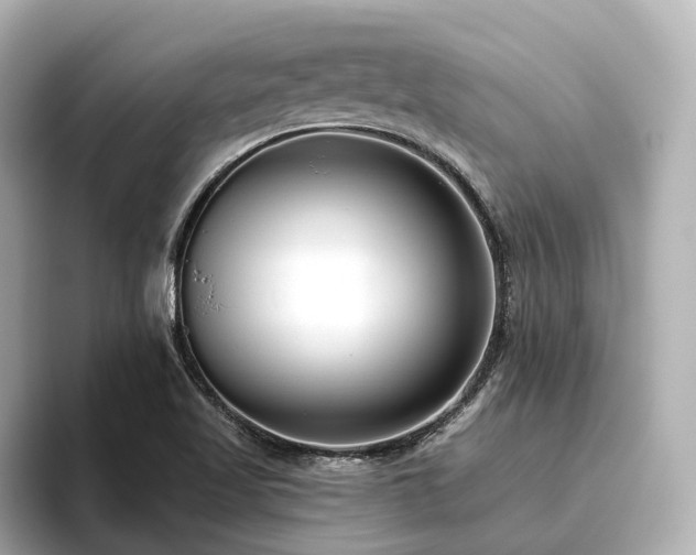 X0000096451509200801241408