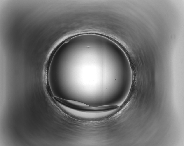 X0000096451510200801241408