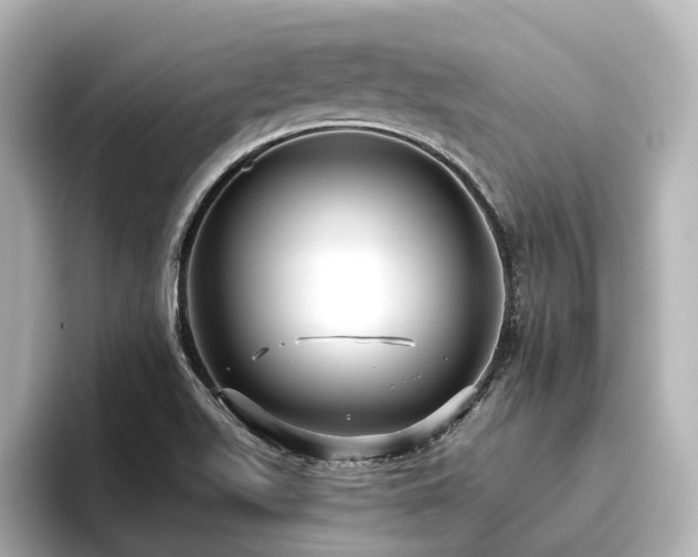 X0000096451511200801241408