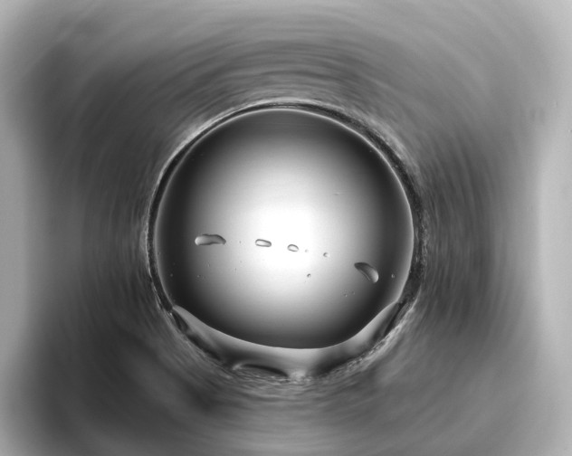 X0000096451513200801241408