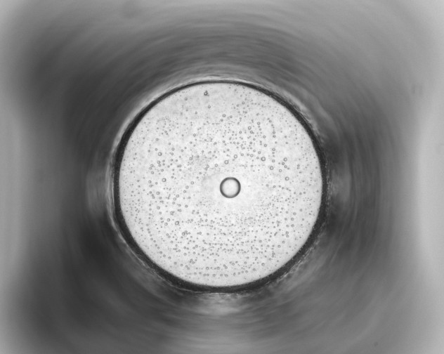 X0000096451514200801241408
