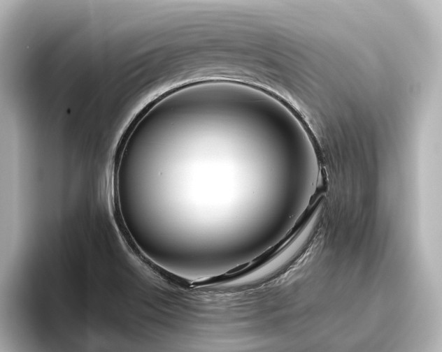 X0000096451515200801241408