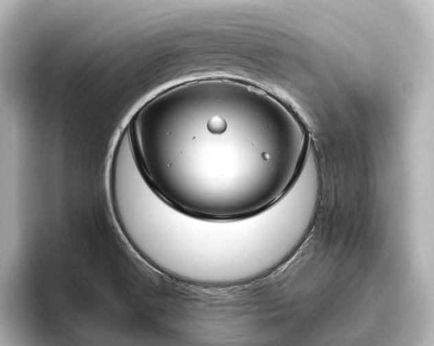X0000096451516200801241408