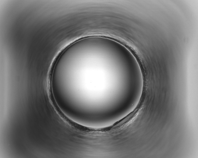 X0000096451517200801241408