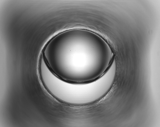 X0000096451518200801241408