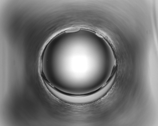 X0000096451520200801241408