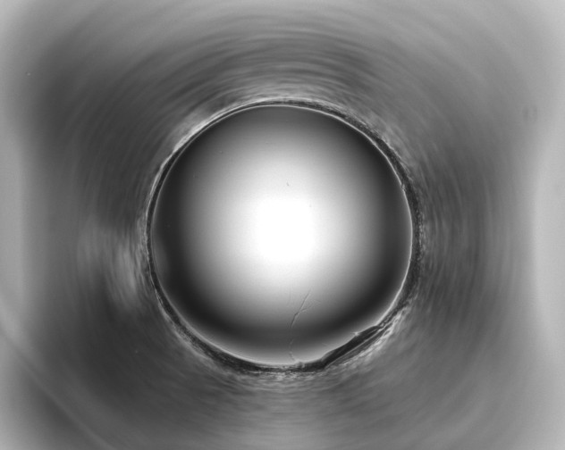 X0000096451521200801241408