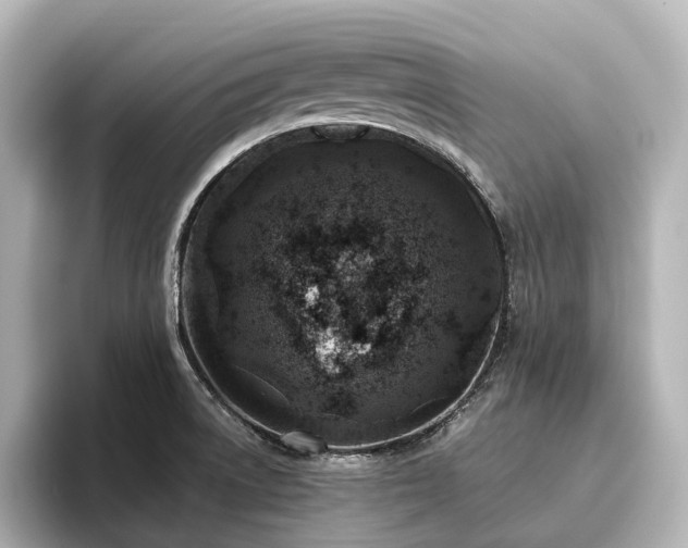 X0000096451522200801241408