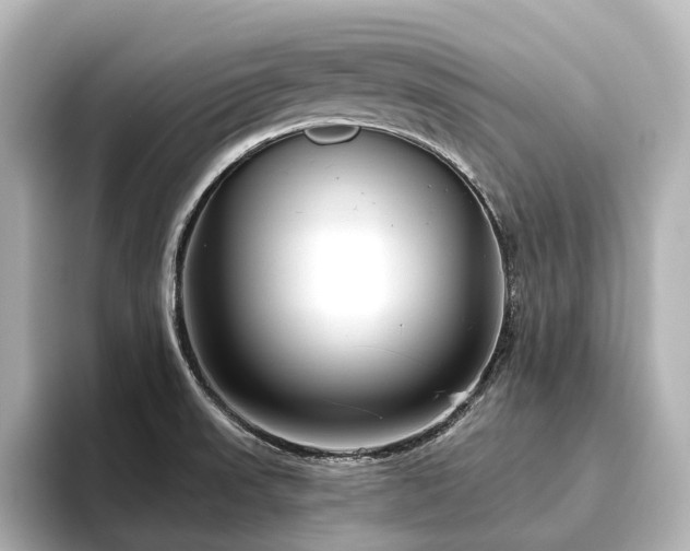 X0000096451523200801241408