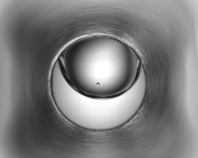 X0000096451524200801241408